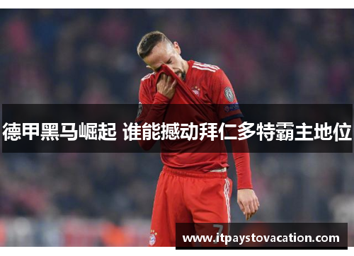 德甲黑马崛起 谁能撼动拜仁多特霸主地位